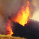 Image: Associated Press